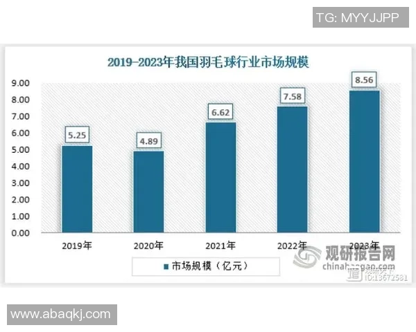 上海羽毛球队实力对比深度剖析与未来发展趋势探讨