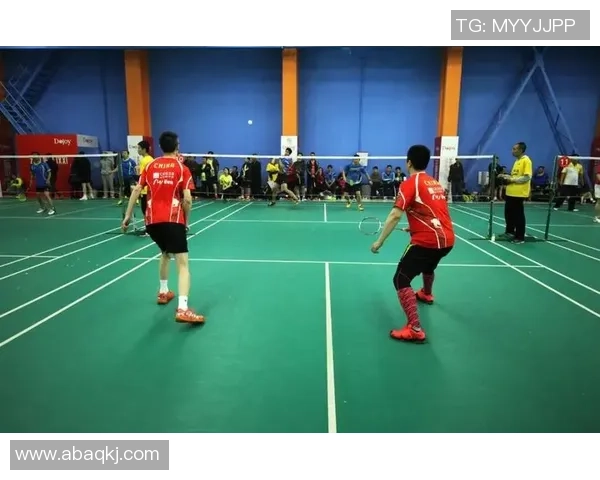 上海羽毛球队在精英赛中的实力展现与战术分析